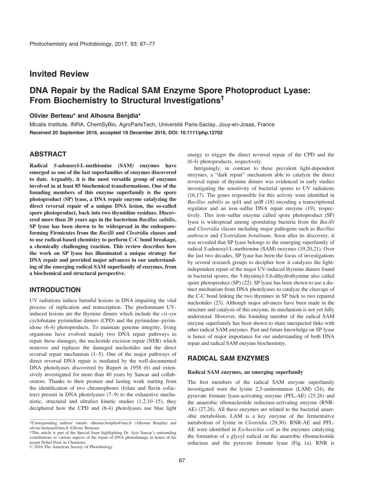 DNA Repair by the Radical SAM Enzyme Spore Photoproduct Lyase: From Biochemistry to Structural Investigations by Unknown