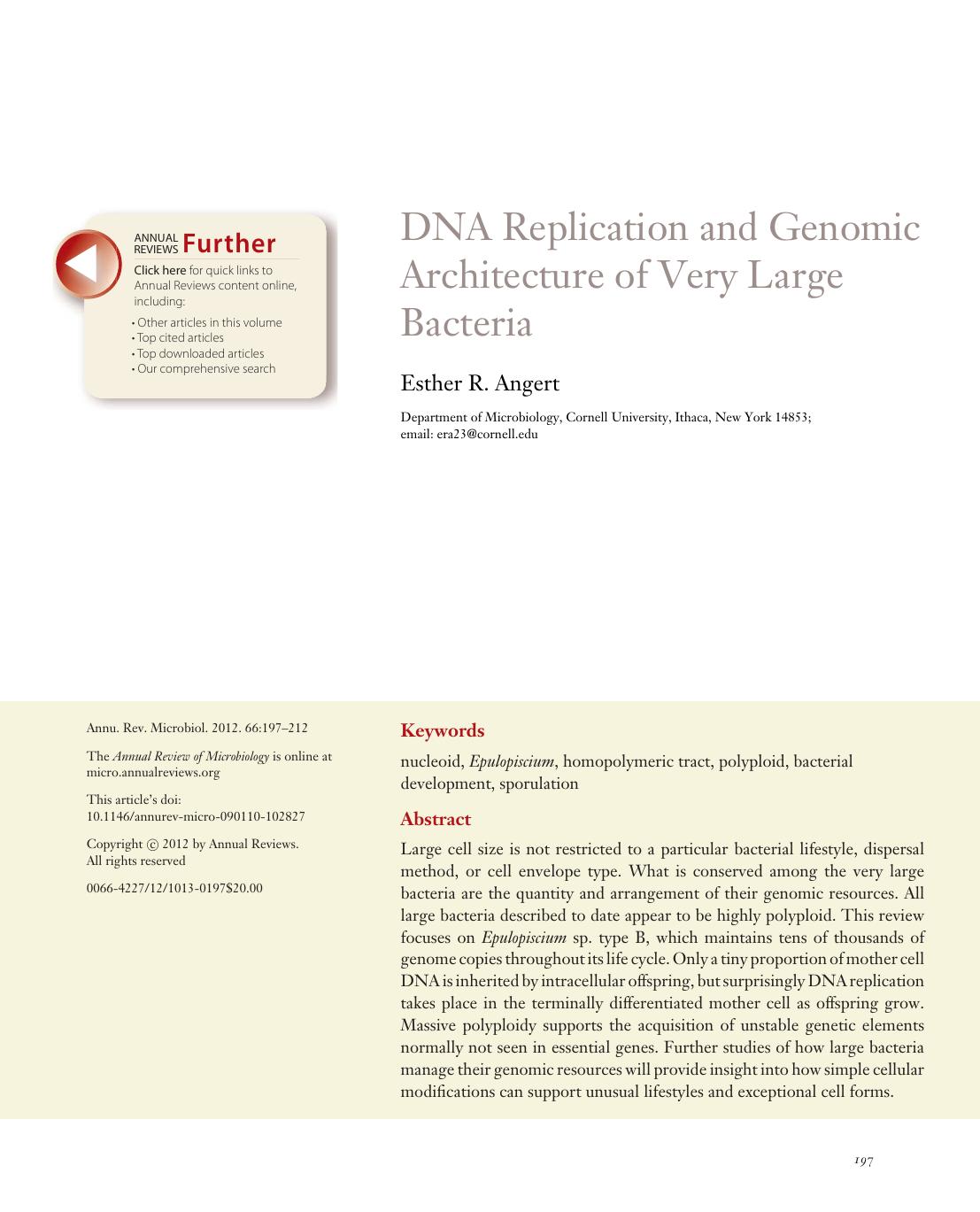 DNA Replication and Genomic Architecture of Very Large Bacteria by Esther R. Angert