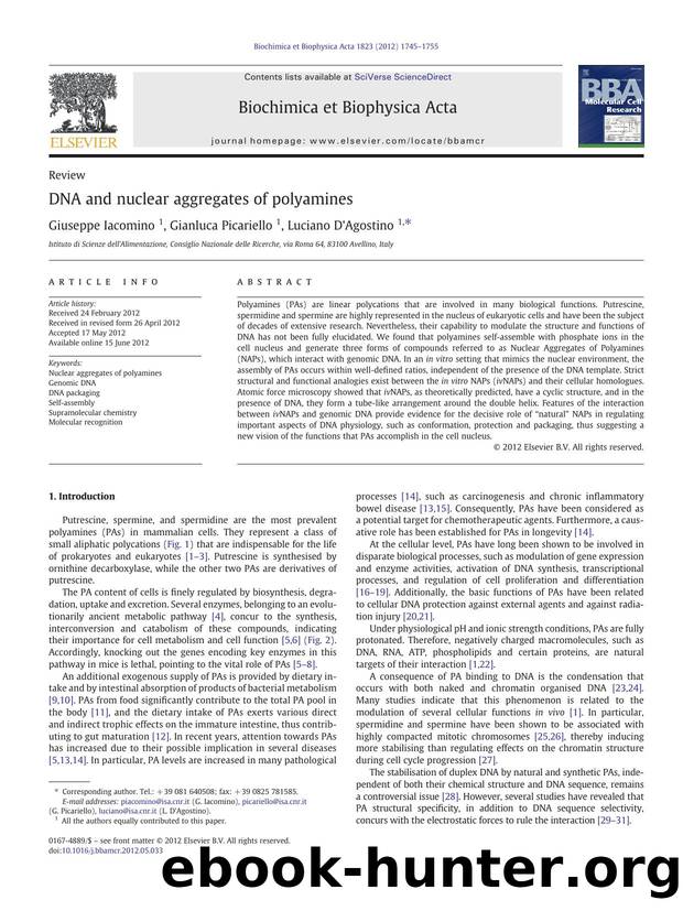 DNA and nuclear aggregates of polyamines by Giuseppe Iacomino & Gianluca Picariello & Luciano D'Agostino