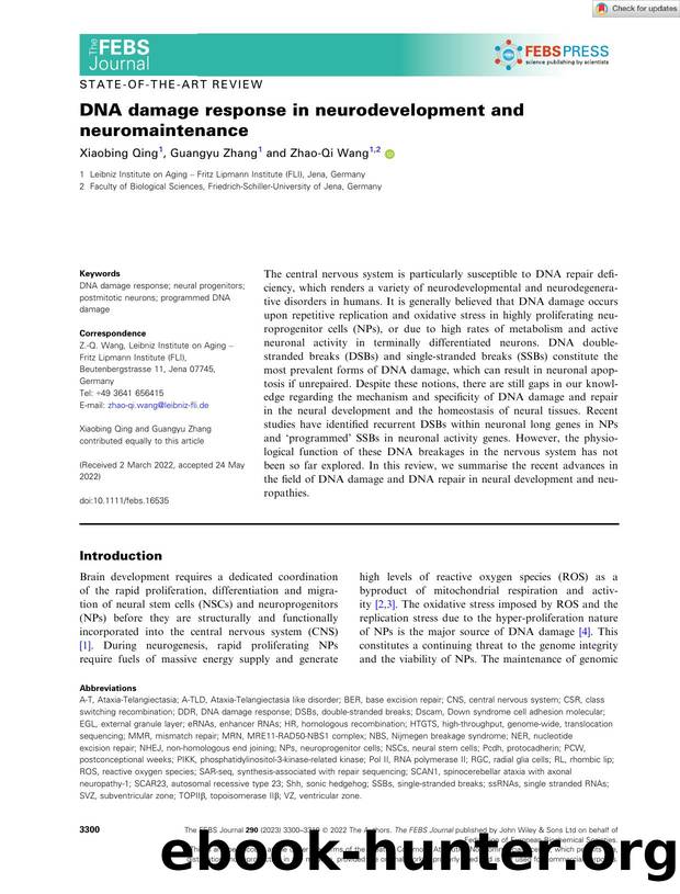 DNA damage response in neurodevelopment and neuromaintenance by Unknown