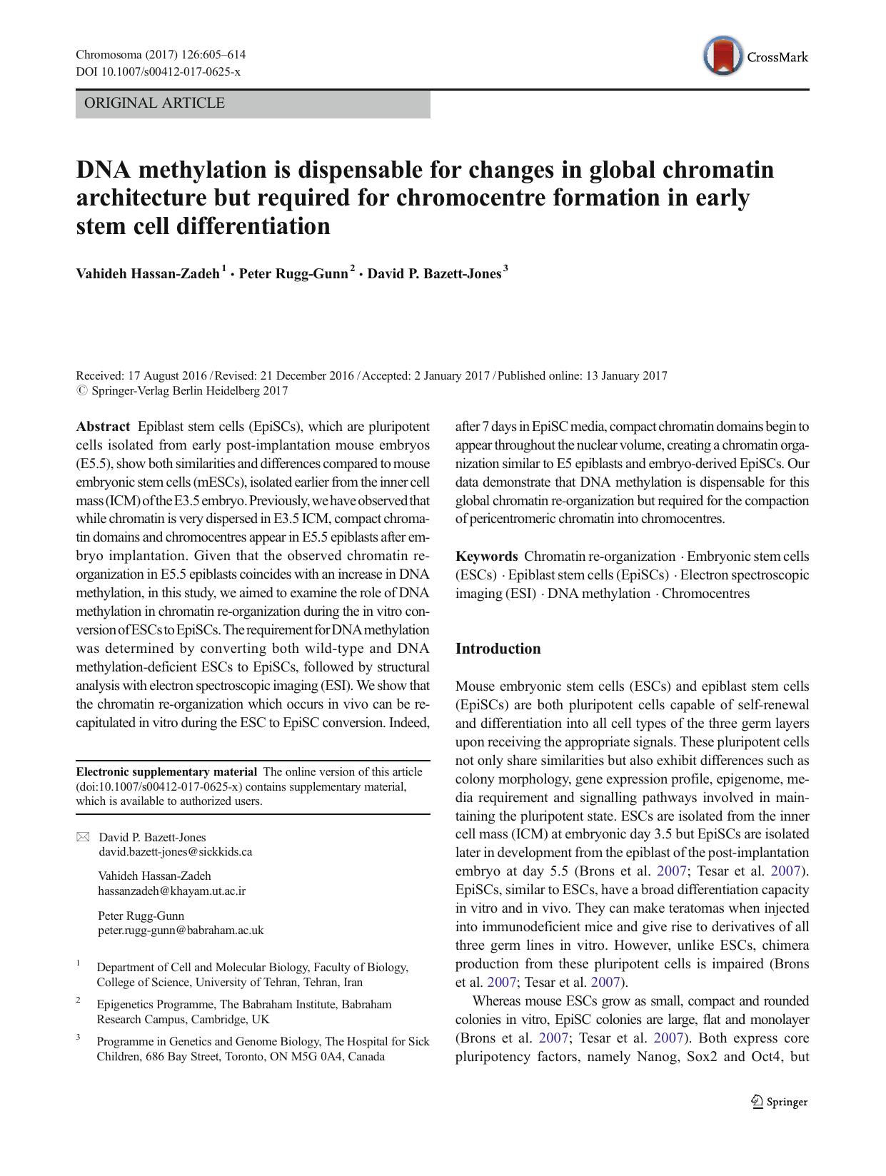 DNA methylation is dispensable for changes in global chromatin architecture but required for chromocentre formation in early stem cell differentiation by Vahideh Hassan-Zadeh & Peter Rugg-Gunn & David P. Bazett-Jones