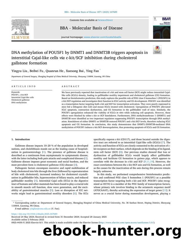 DNA methylation of POU5F1 by DNMT1 and DNMT3B triggers apoptosis in interstitial Cajal-like cells via c-kitSCF inhibition during cholesterol gallstone formation by Yingyu Liu & Beibei Fu & Quanrun He & Xuesong Bai & Ying Fan