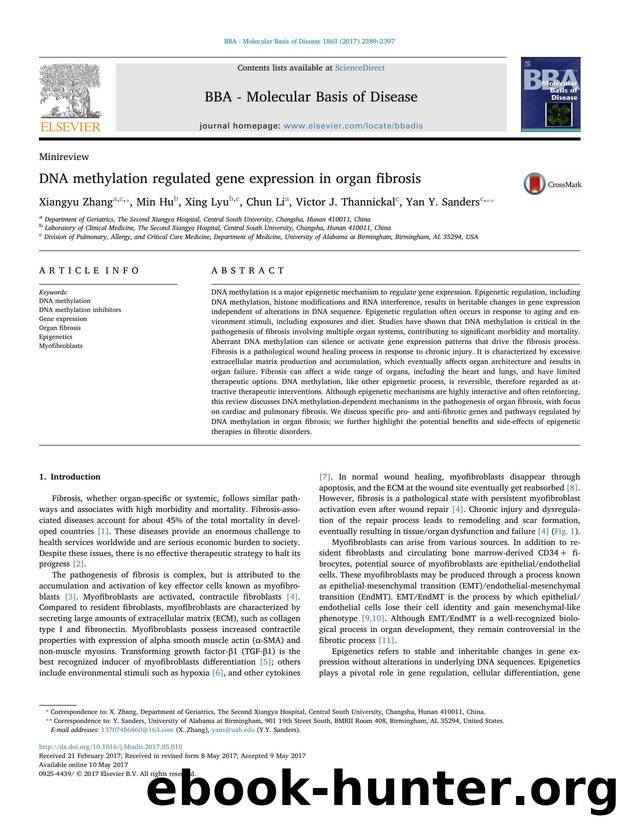 DNA methylation regulated gene expression in organ fibrosis by Xiangyu Zhang & Min Hu & Xing Lyu & Chun Li & Victor J. Thannickal & Yan Y. Sanders