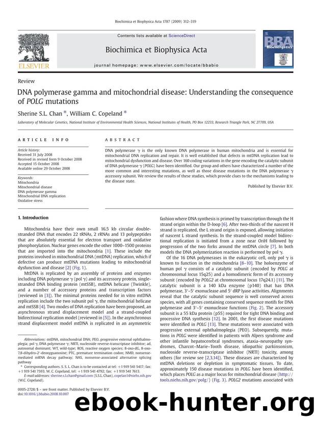 DNA polymerase gamma and mitochondrial disease: Understanding the consequence of POLG mutations by Sherine S.L. Chan; William C. Copeland