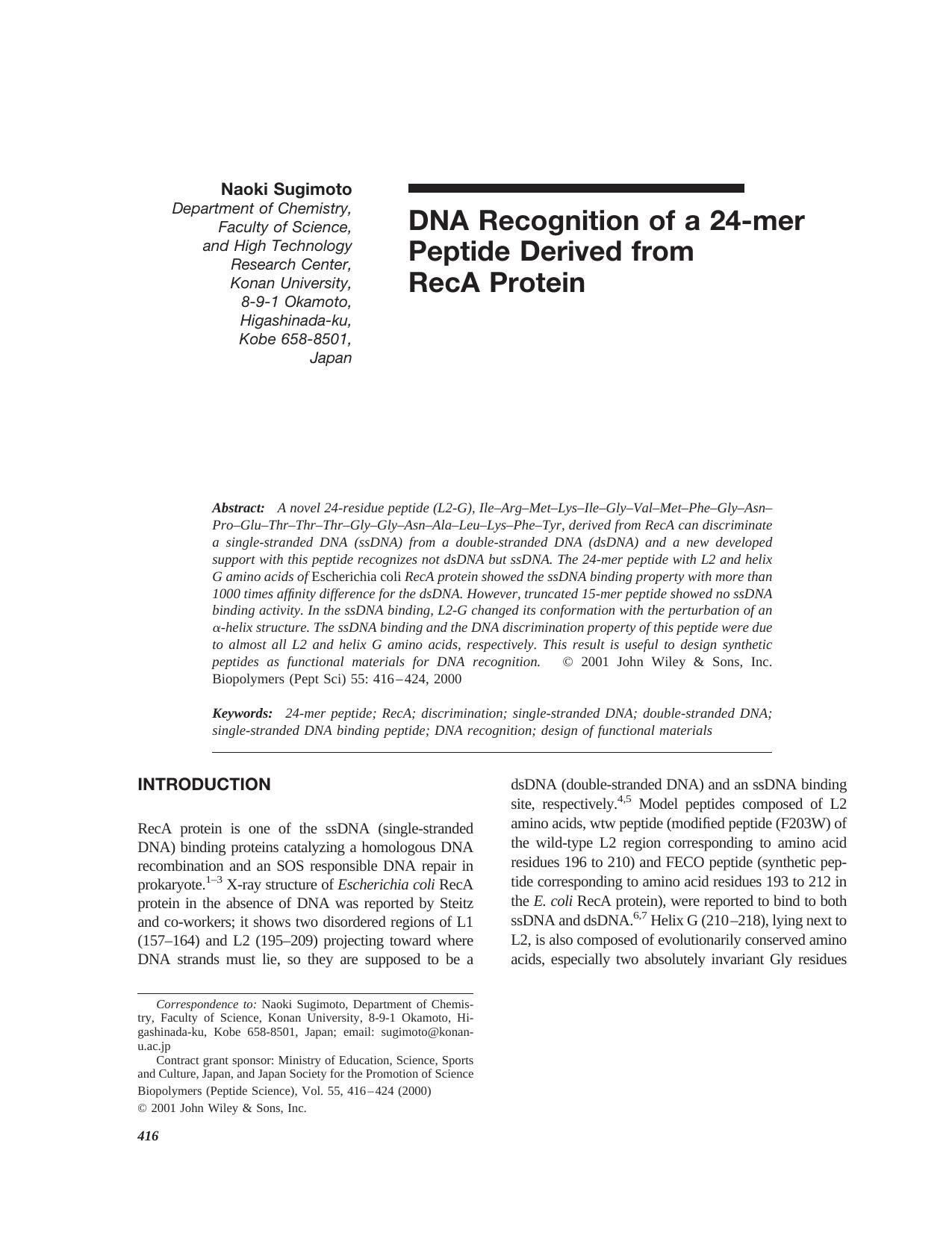 DNA recognition of a 24-mer peptide derived from RecA protein by Unknown