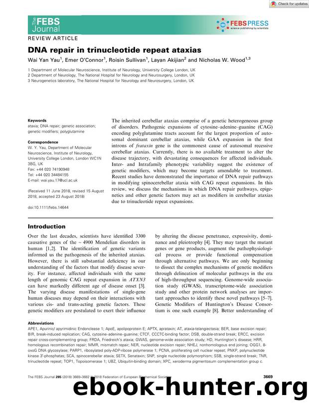 DNA repair in trinucleotide repeat ataxias by Unknown