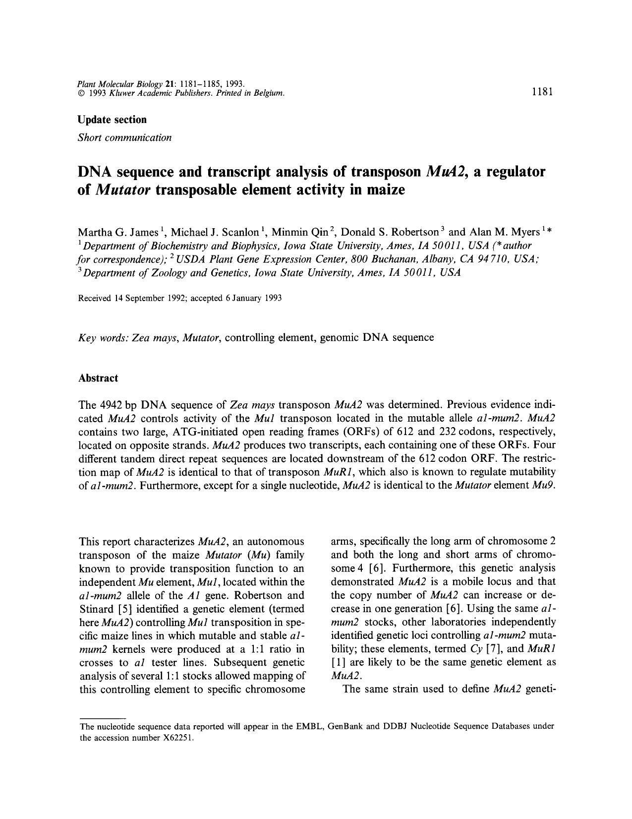 DNA sequence and transcript analysis of transposon <Emphasis Type="Italic">MuA2 <Emphasis>, a regulator of <Emphasis Type="Italic">Mutator <Emphasis> transposable element activity in maize by Unknown