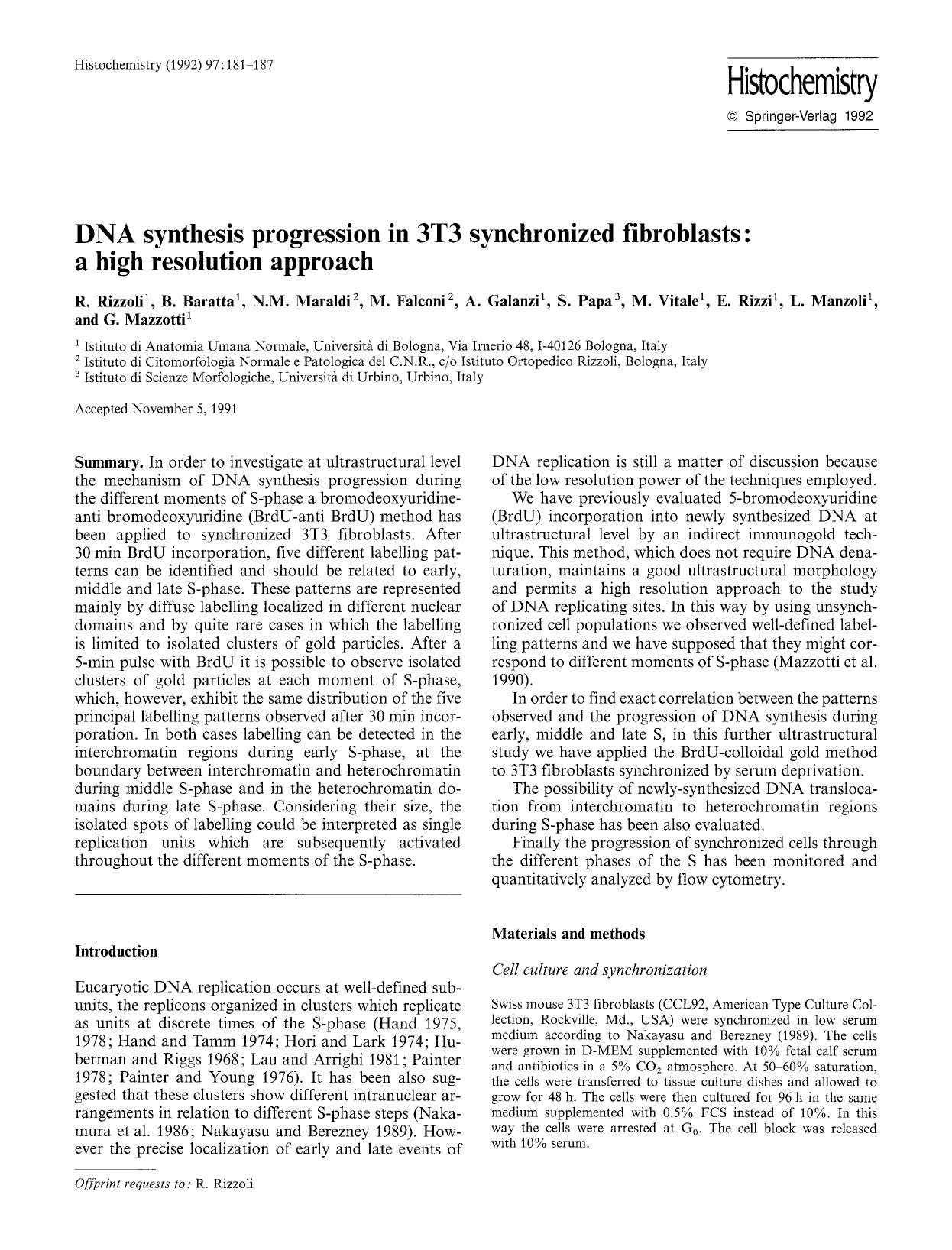 DNA synthesis progression in 3T3 synchronized fibroblasts: a high resolution approach by Unknown