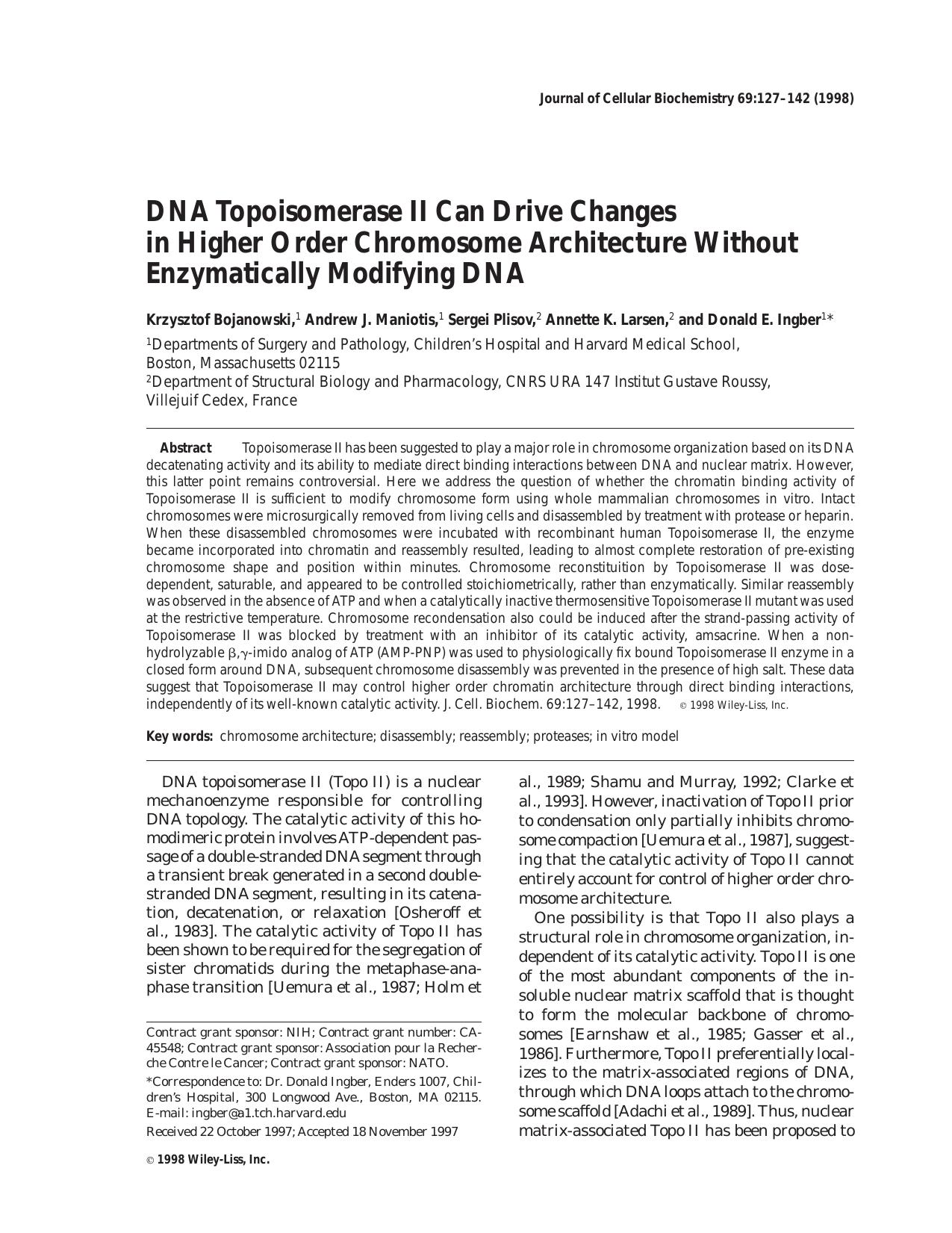 DNA topoisomerase II can drive changes in higher order chromosome architecture without enzymatically modifying DNA by Unknown