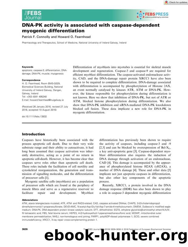 DNAâPK activity is associated with caspaseâdependent myogenic differentiation by Unknown