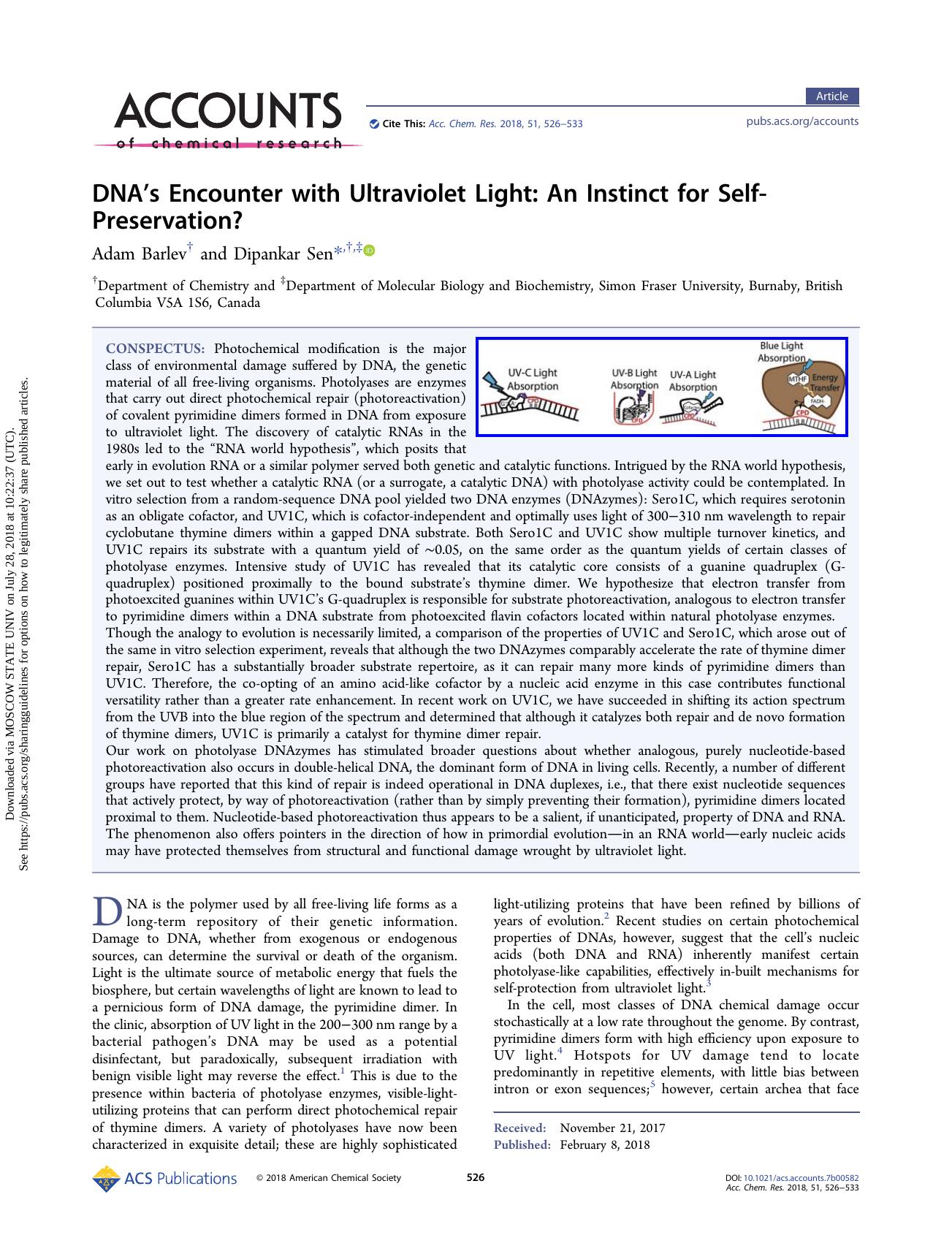 DNAâs Encounter with Ultraviolet Light: An Instinct for Self-Preservation? by Adam Barlev & Dipankar Sen