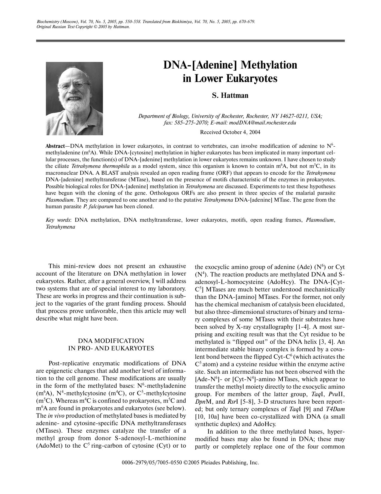 DNA-[Adenine] Methylation in Lower Eukaryotes by Unknown