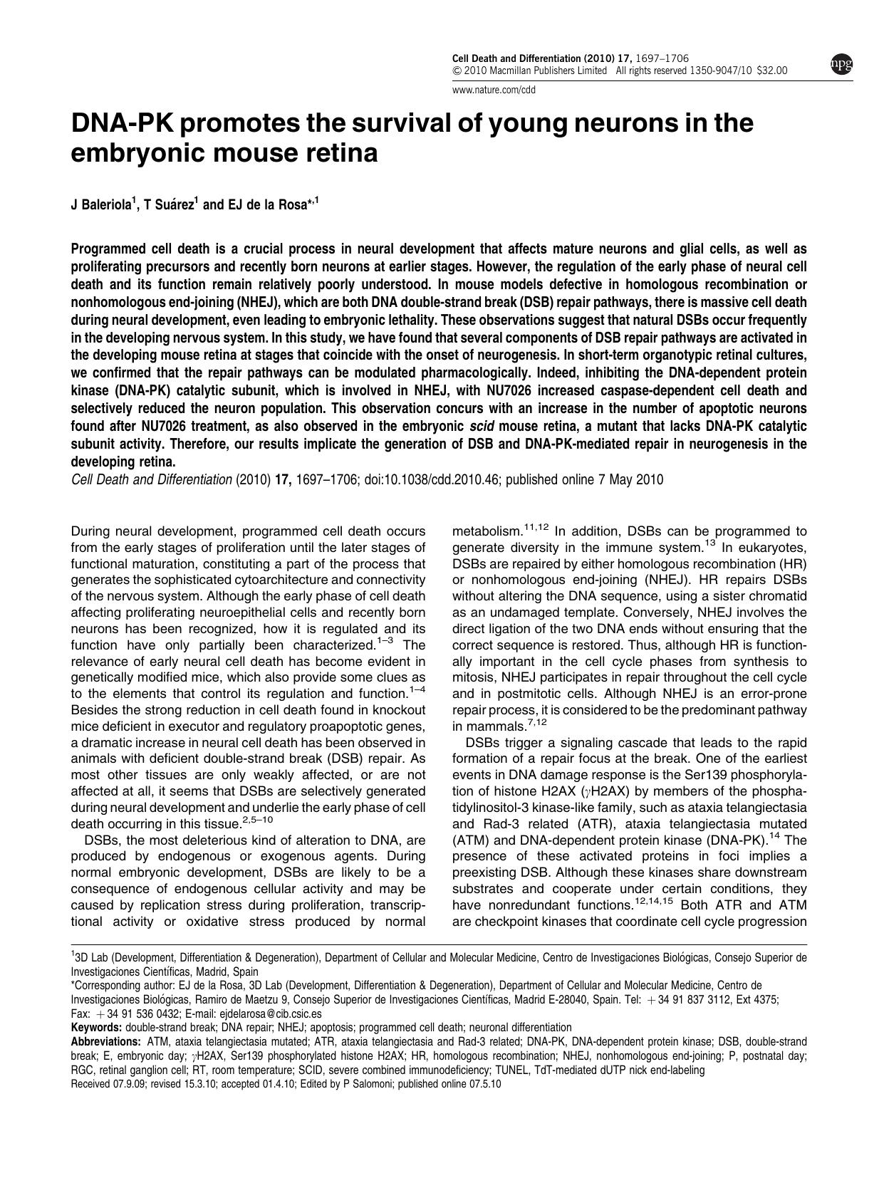 DNA-PK promotes the survival of young neurons in the embryonic mouse retina by J Baleriola & T Su&&aacute;rez & E J de la Rosa