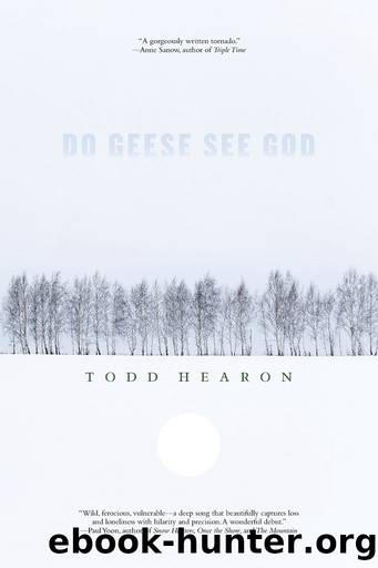 DO GEESE SEE GOD by Todd Hearon