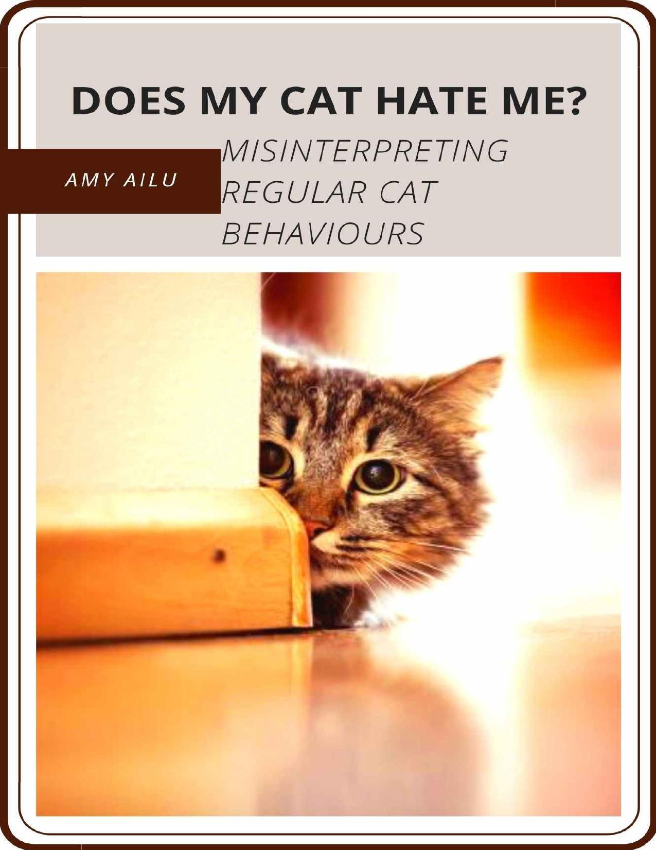 DOES MY CAT HATE ME?: MISINTERPRETING REGULAR CAT BEHAVIOURS by Amy Ailu