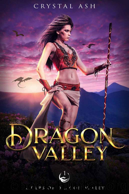 DRAGON VALLEY: Riders of Dragon Valley 1 by Ash Crystal