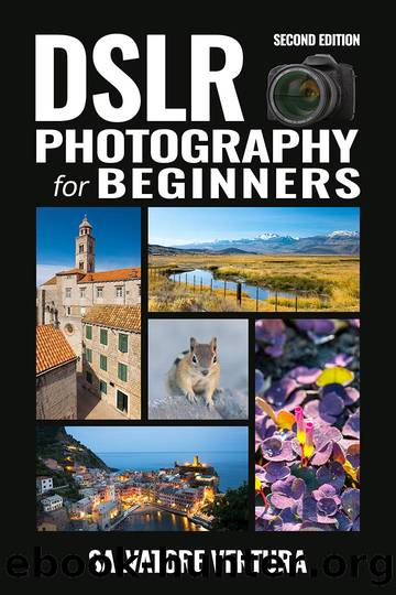 DSLR Photography for Beginners by Salvatore Ventura
