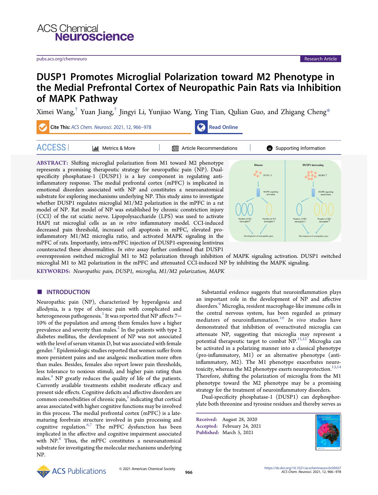 DUSP1 Promotes Microglial Polarization toward M2 Phenotype in the Medial Prefrontal Cortex of Neuropathic Pain Rats via Inhibition of MAPK Pathway by Ximei Wang Yuan Jiang Jingyi Li Yunjiao Wang Ying Tian Qulian Guo and Zhigang Cheng