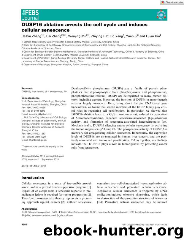 DUSP16 ablation arrests the cell cycle and induces cellular senescence by Unknown