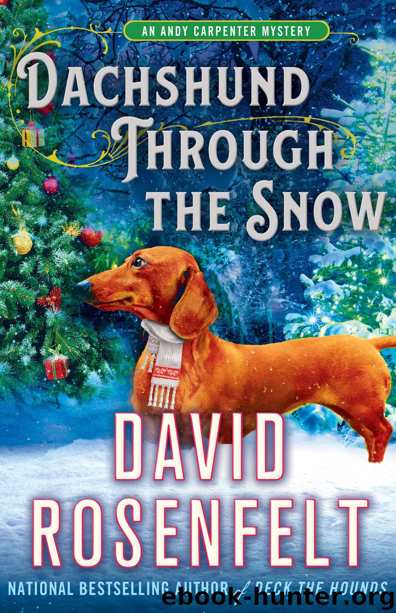 Dachshund Through the Snow by David Rosenfelt