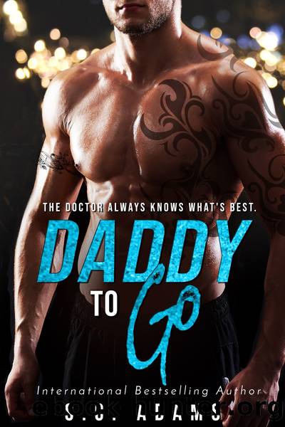 Daddy to Go by S.E. Law