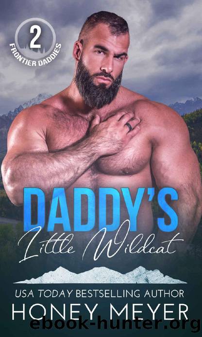 Daddy's Little Wildcat (Frontier Daddies Book 2) by Honey Meyer