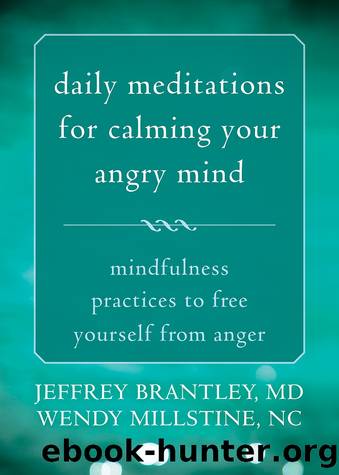 Daily Meditations for Calming Your Angry Mind by Jeffrey Brantley