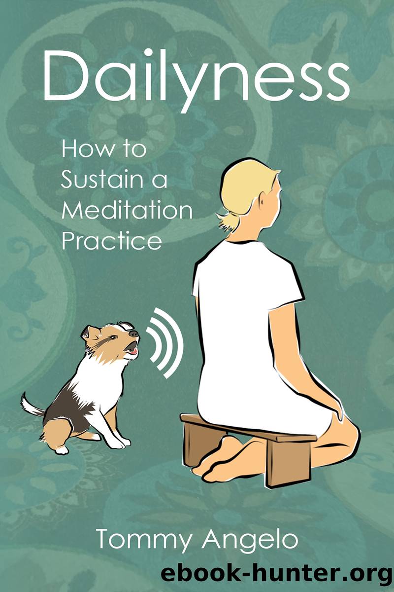 Dailyness â How to Sustain a Meditation Practice by Tommy Angelo