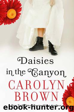 Daisies in the Canyon by Brown Carolyn