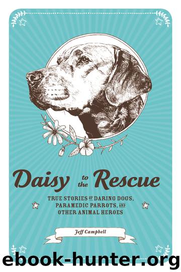 Daisy to the Rescue by Jeff Campbell