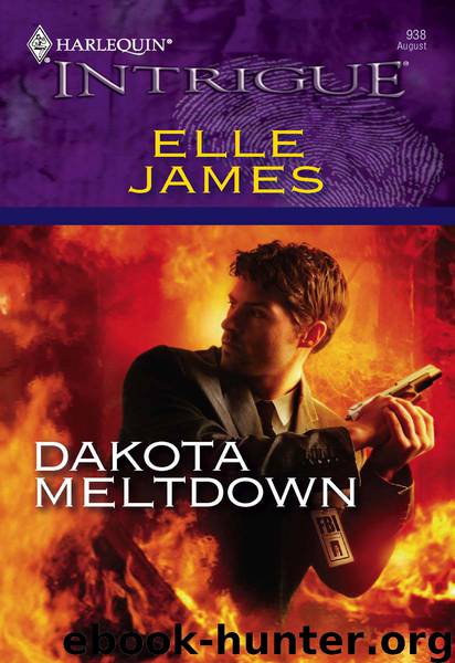 Dakota Meltdown by Elle James