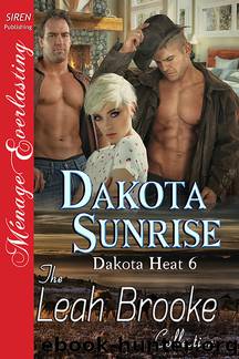 Dakota Sunrise by Leah Brooke
