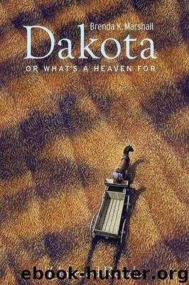 Dakota, Or What’s a Heaven For by Brenda K. Marshall