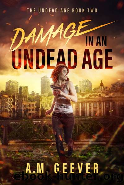 Damage in an Undead Age by A.M. Geever