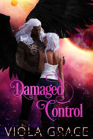 Damaged Control by Viola Grace