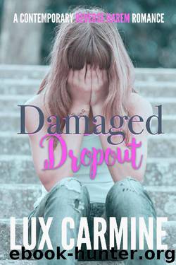 Damaged Dropout (Lone Wolves #2) by Lux Carmine