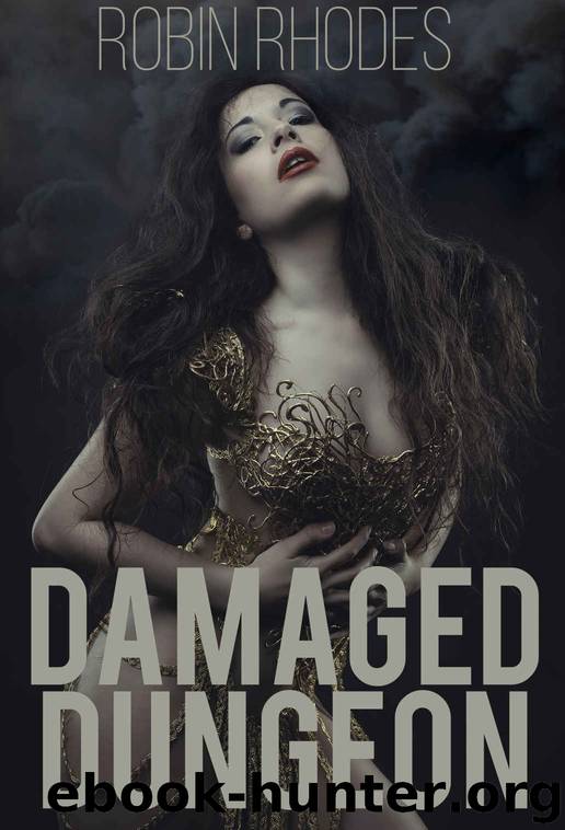 Damaged Dungeon (Corrupted Dungeon Book 3) by Robin Rhodes