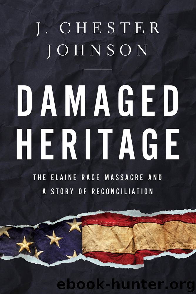 Damaged Heritage by J. Chester Johnson