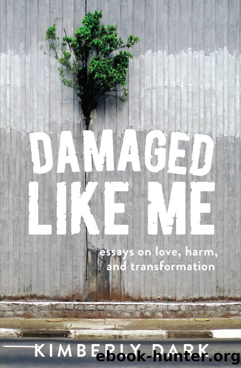 Damaged Like Me by Kimberly Dark