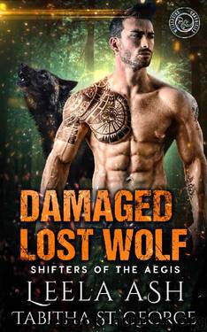 Damaged Lost Wolf (Shifters of the Aegis Book 3) by Leela Ash & Tabitha St. George