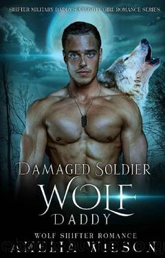 Damaged Soldier Wolf Daddy: Wolf Shifter Paranormal Romance by Amelia Wilson