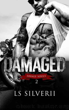 Damaged by LS Silverii