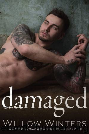 Damaged: Sins and Secrets Series of Duets by Willow Winters