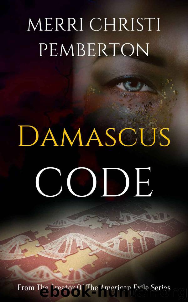 Damascus Code by Merri Christi Pemberton