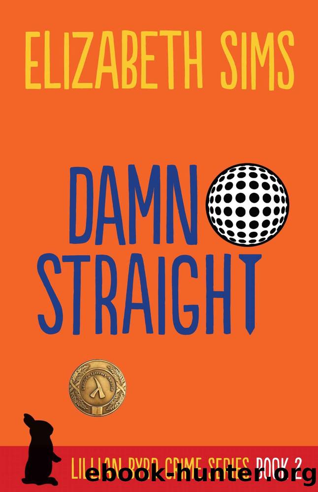 Damn Straight (Lillian Byrd Crime Series Book 2) by Elizabeth Sims