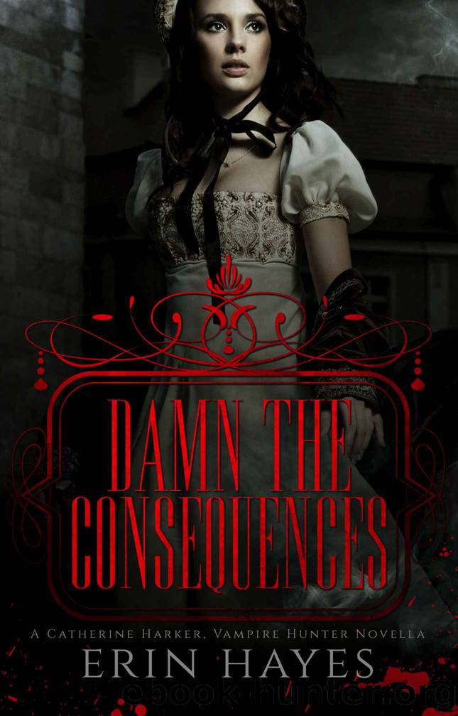 Damn the Consequences by Erin Hayes
