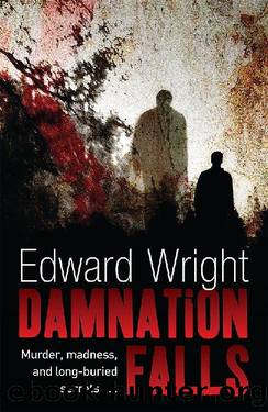 Damnation Falls (2007) by Edward Wright