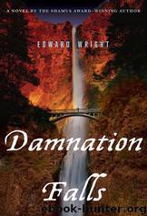 Damnation Falls by Edward Wright