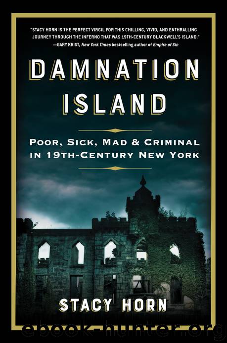 Damnation Island: Poor, Sick, Mad, and Criminal in 19th-Century New York by Stacy Horn