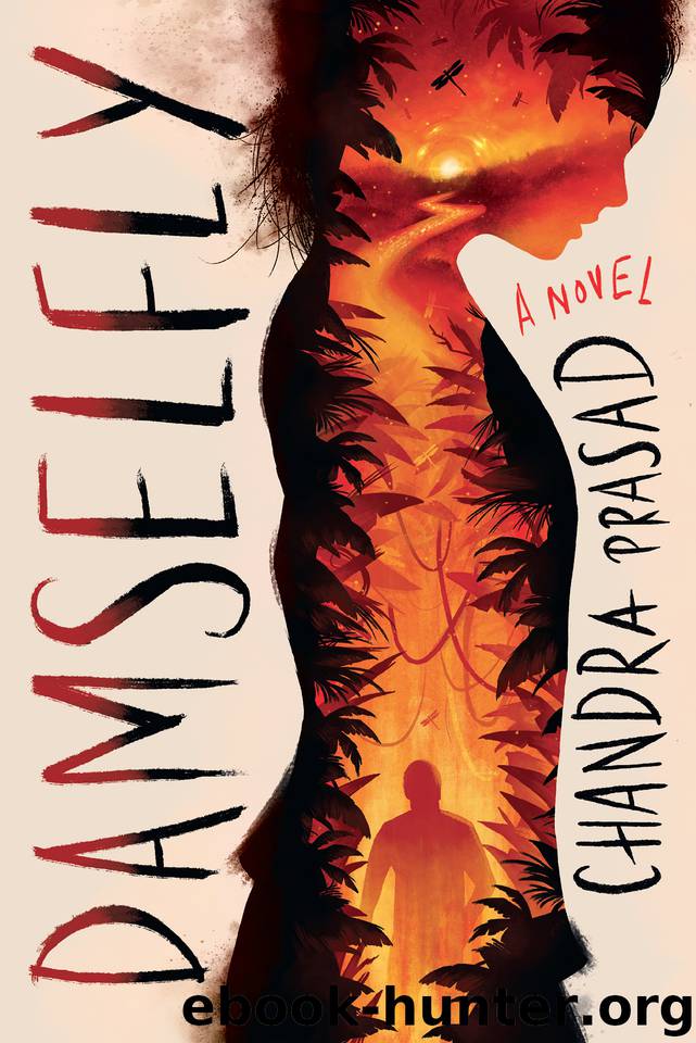 Damselfly by Chandra Prasad